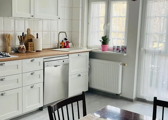 Zielone Drzwi Cale Mieszkanie Rodzinne Blisko Centrum I Parku Lejlighed *